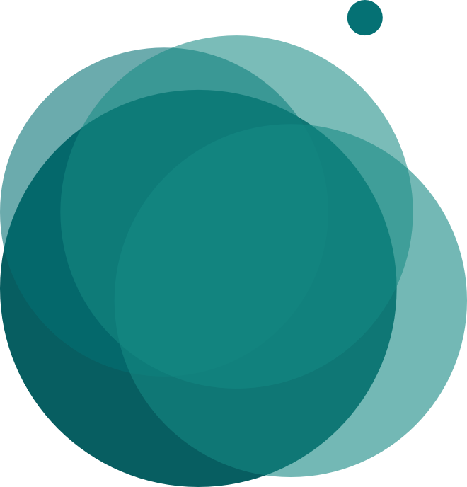 puce logo helloptimize